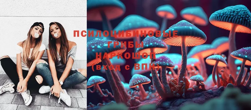 mega ссылка  Алушта  Псилоцибиновые грибы Cubensis  как найти наркотики 